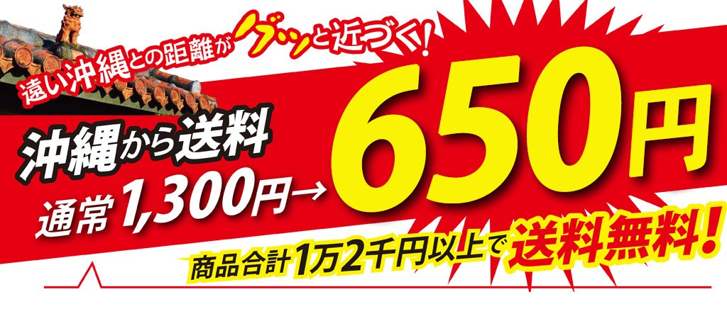送料650円